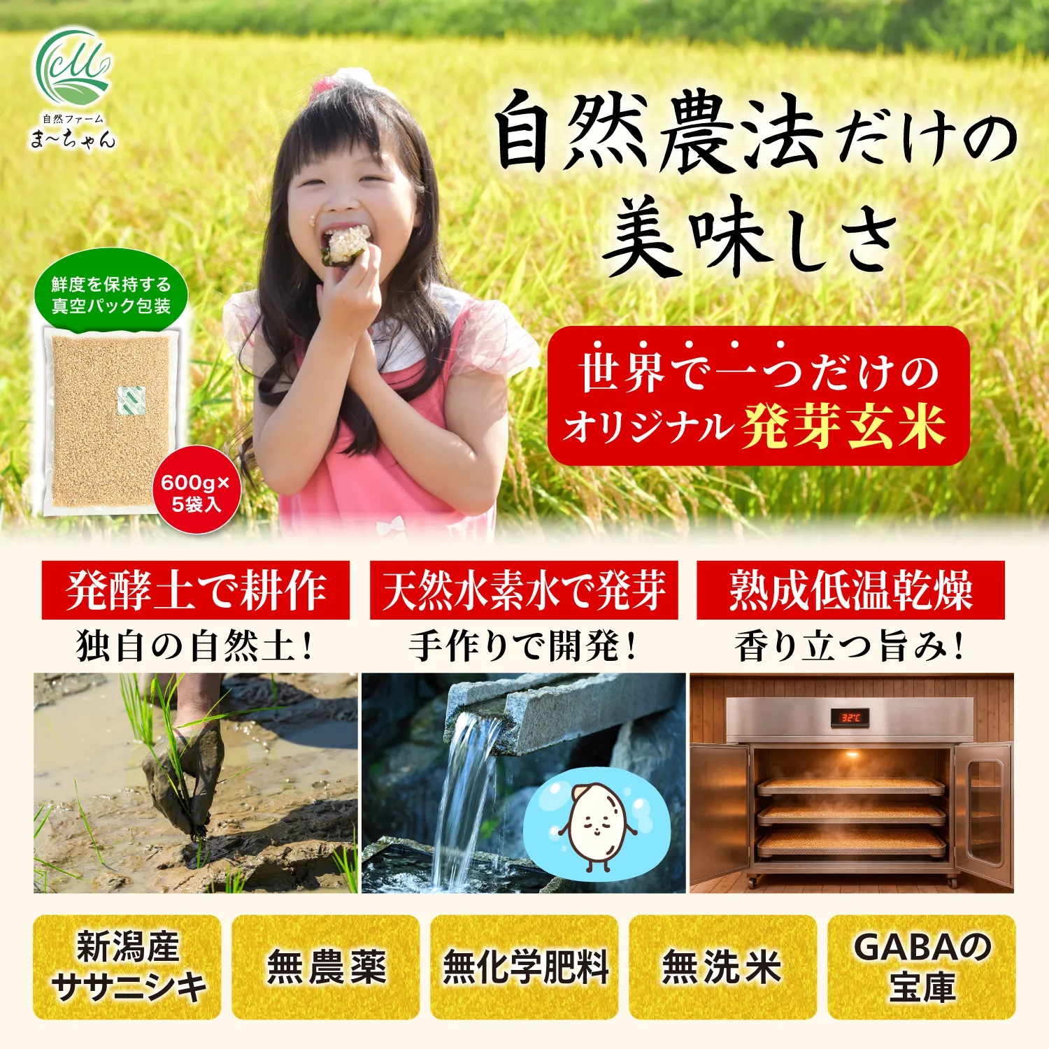 ま〜ちゃん発芽玄米 3kg - 画像 (2)