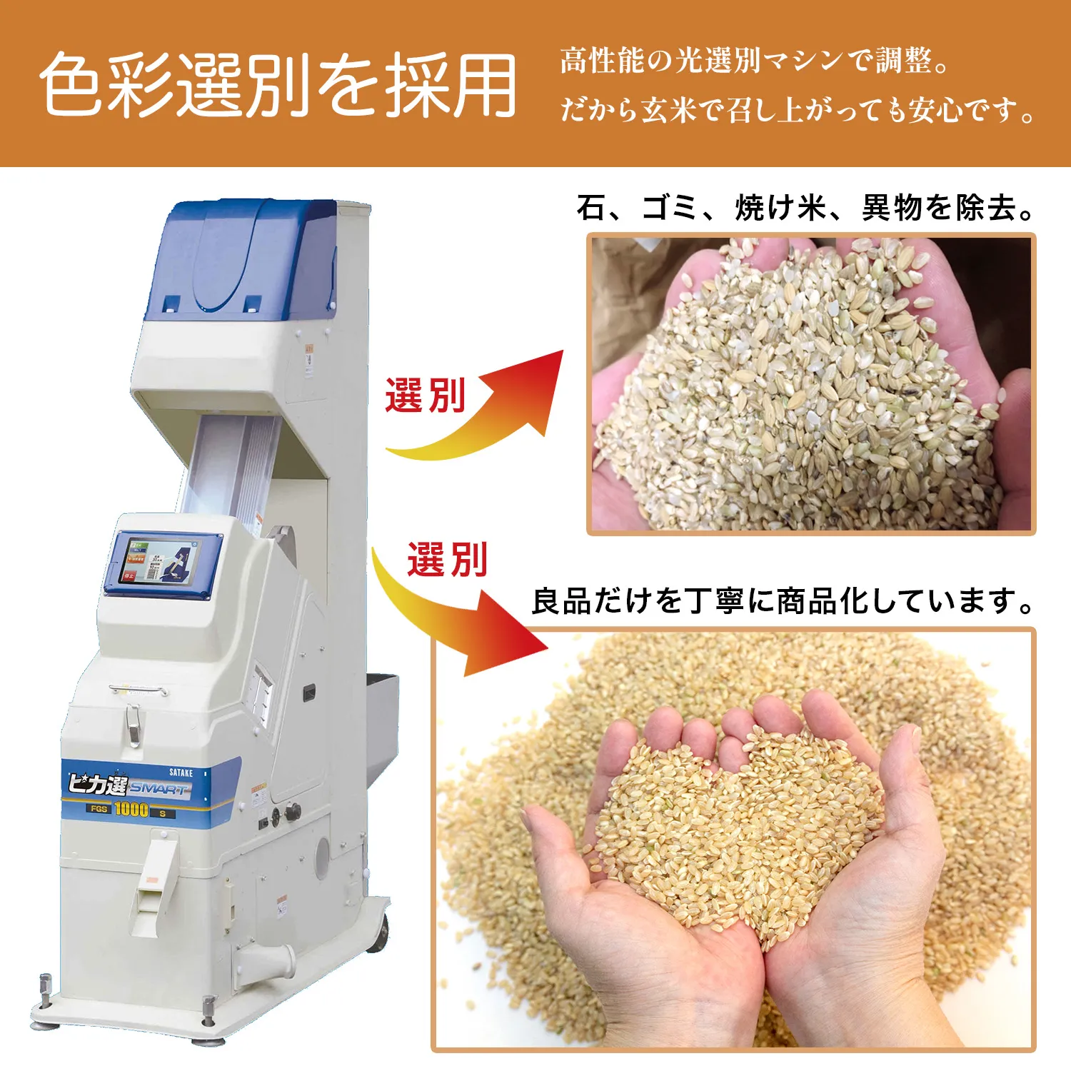 ま〜ちゃん発芽玄米 3kg - 画像 (7)