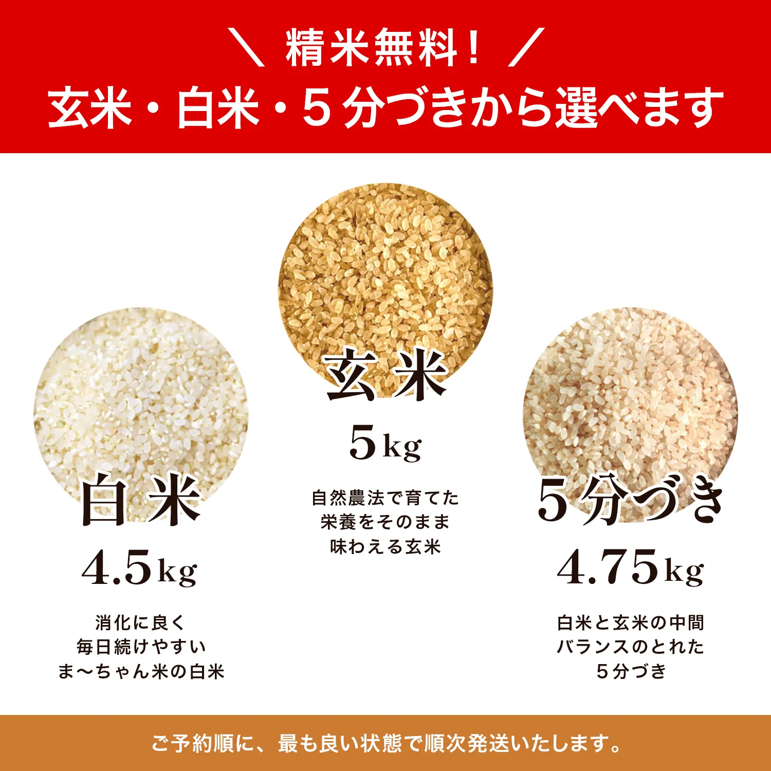 ま〜ちゃん米 5kg - 画像 (9)