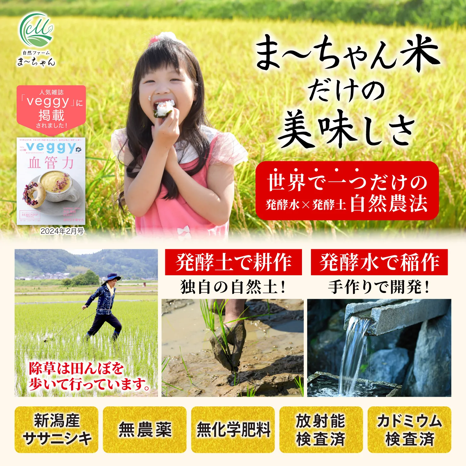 ま〜ちゃん米 5kg - 画像 (2)
