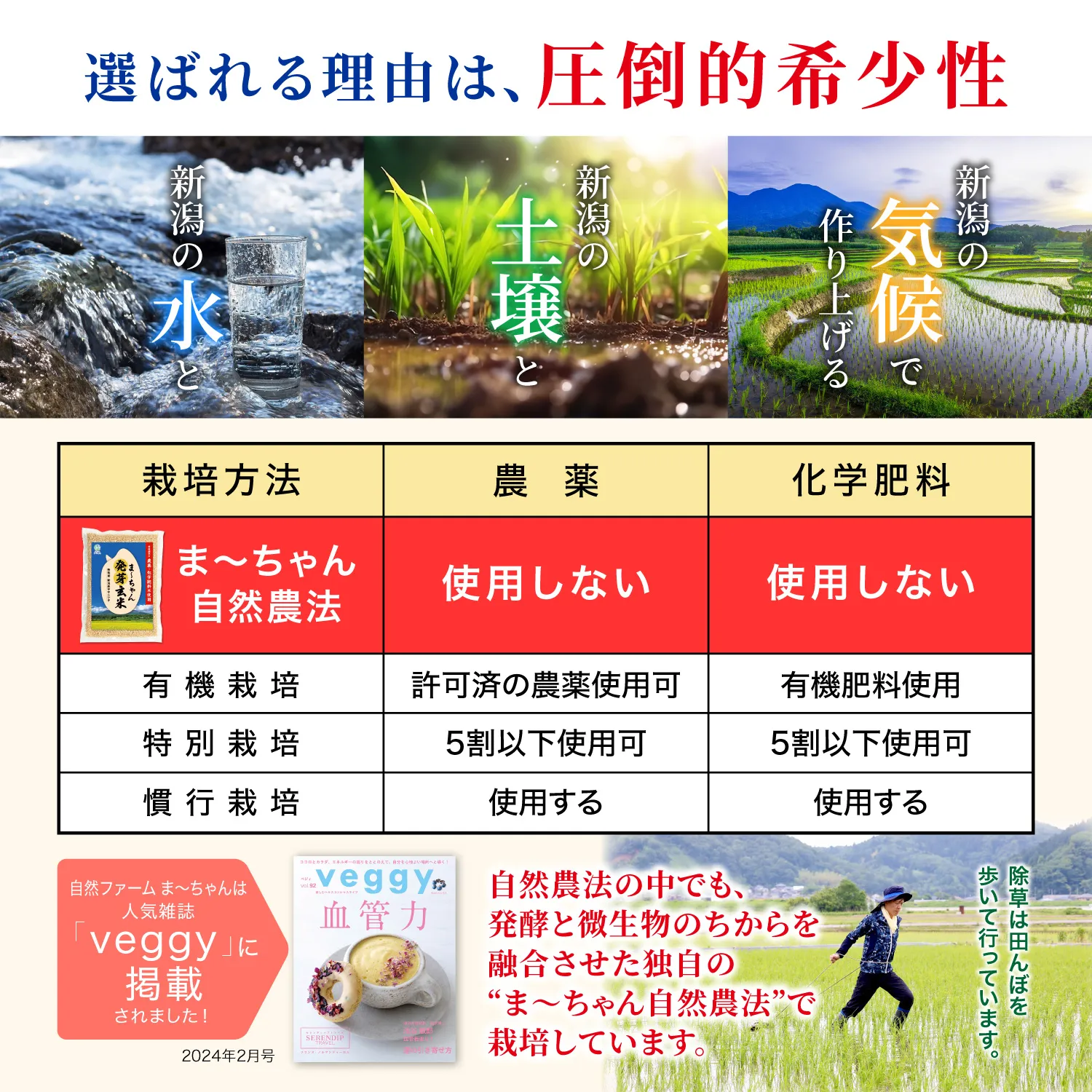 ま〜ちゃん発芽玄米  3kg - 画像 (7)