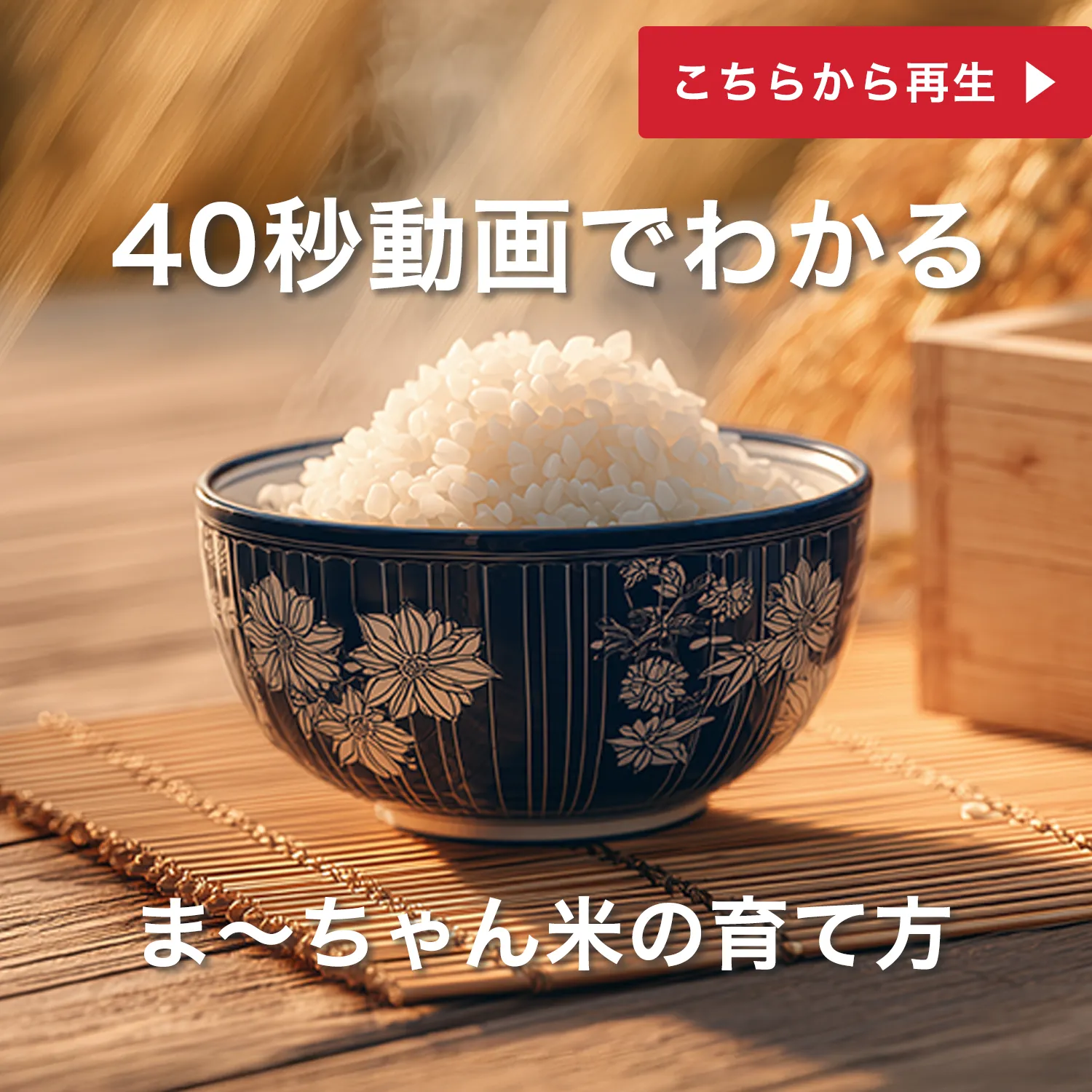 ま〜ちゃん米 5kg - 画像 (12)