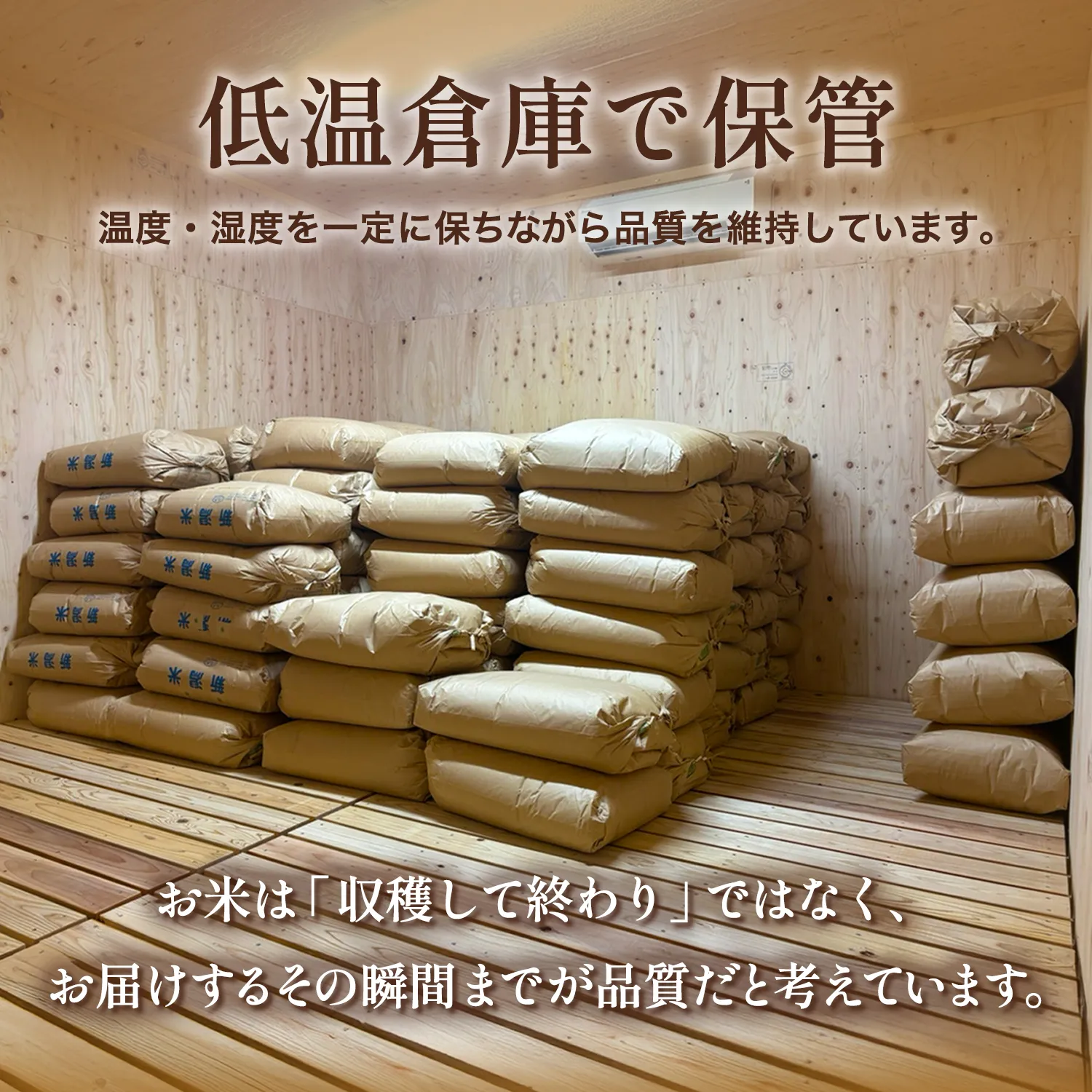 ま〜ちゃん米 5kg - 画像 (10)