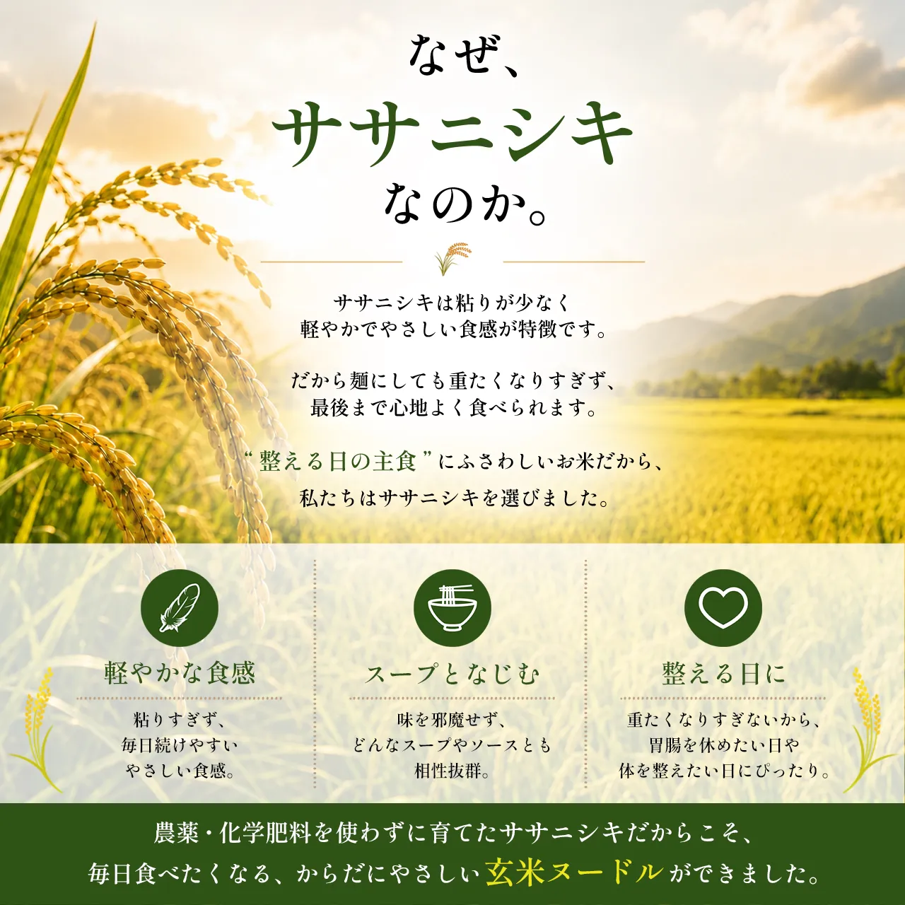 玄米ヌードル  6食分 - 画像 (5)