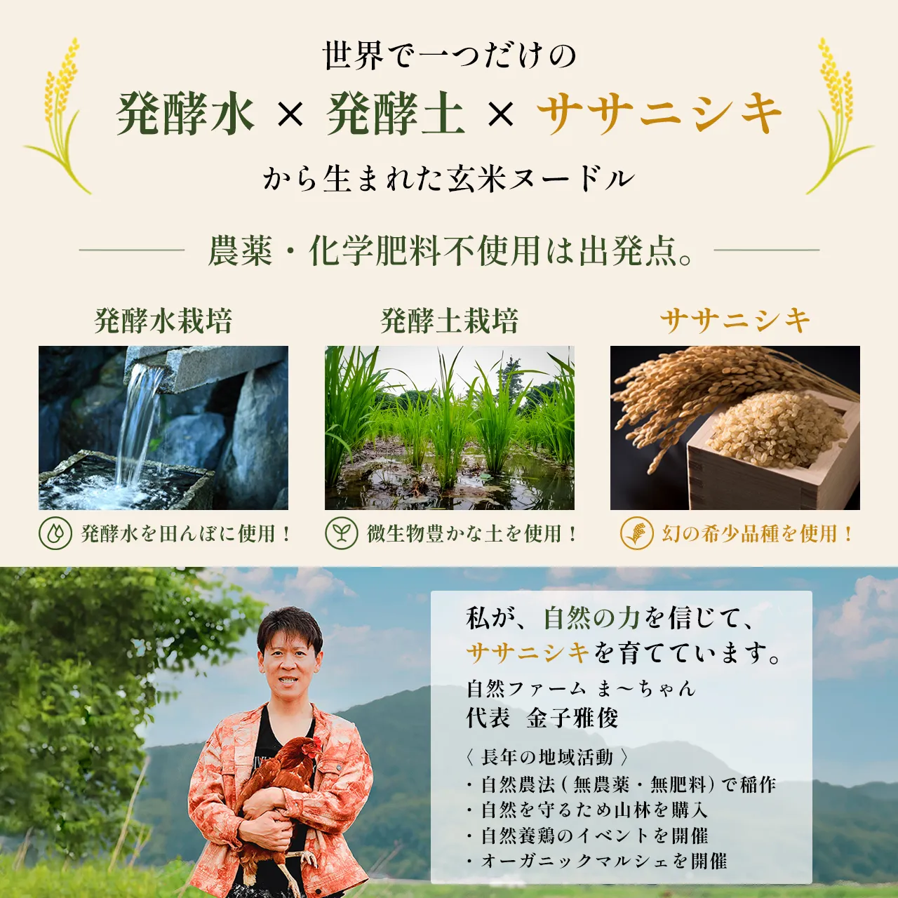 玄米ヌードル  6食分 - 画像 (6)